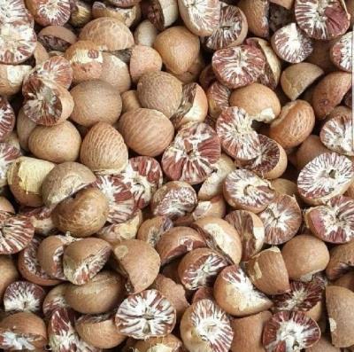 Assam: Burmese betel nuts worth 1 cr seized, 10 held