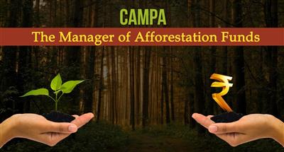 Rs 239.78 cr plan approved under CAMPA in Haryana