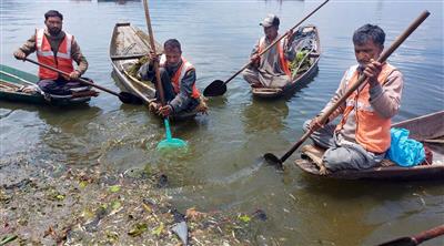 Large mortality of fish in Kashmir's Dal lake worries locals, experts